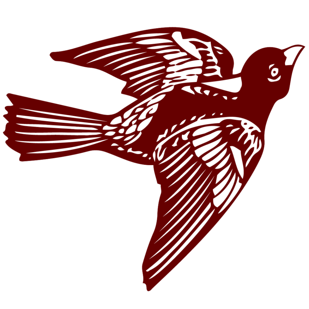 bird